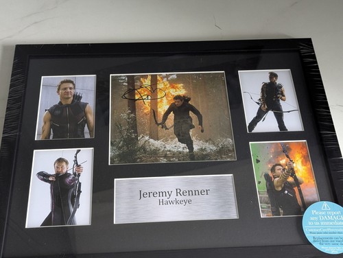 Jeremy renner hawkeye - hawkeye,