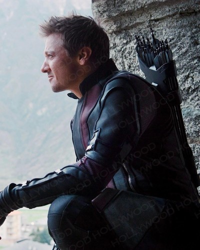 Jeremy renner photo - renner,