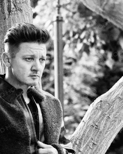 Jeremy renner photo 8x10 - jeremy,