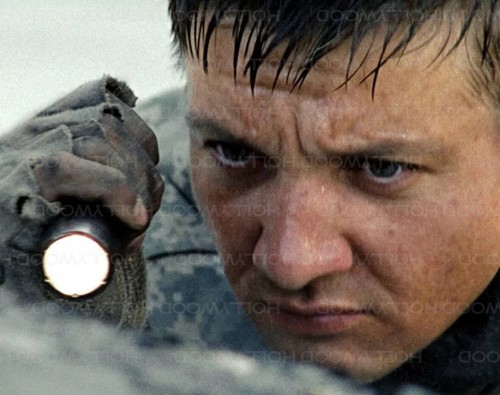 Jeremy renner photo 8x10 - renner,