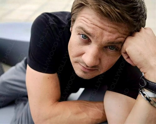 Jeremy renner photo - renner, 8x10