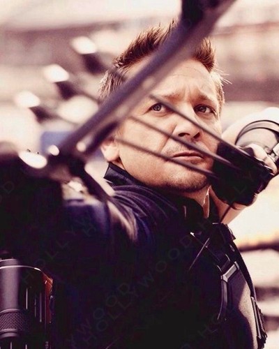 Jeremy renner photo 8x10 - jeremy,